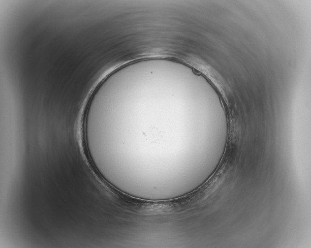 X0000101391187200807211007