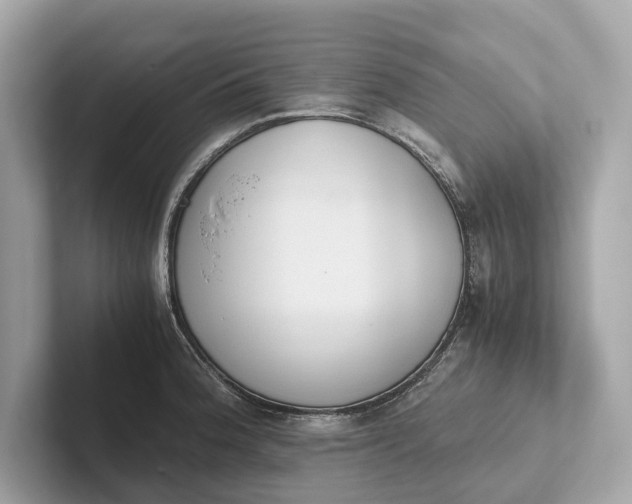 X0000101391188200807211007