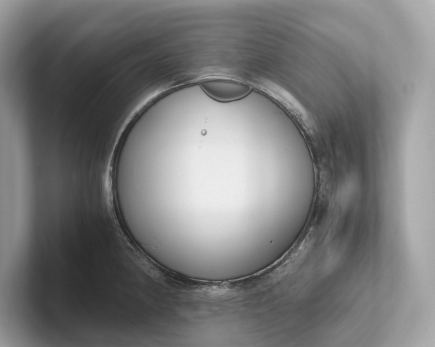 X0000101391190200807211007