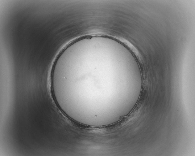 X0000101391191200807211007