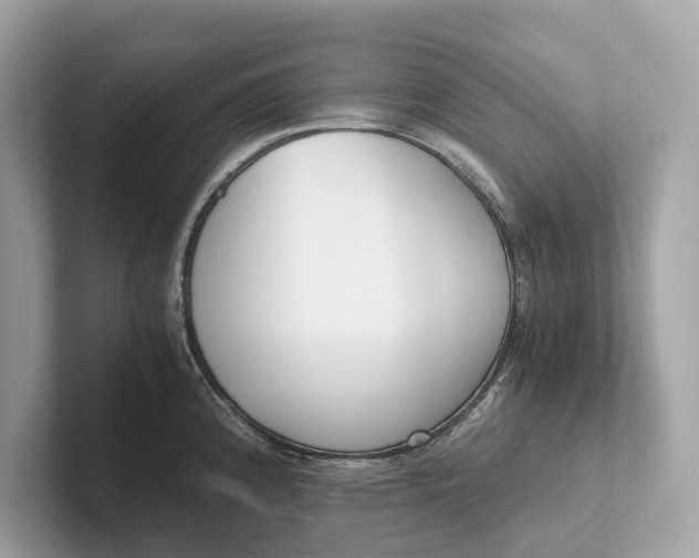 X0000101391192200807211007