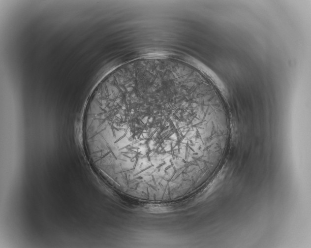 X0000101391194200807211007