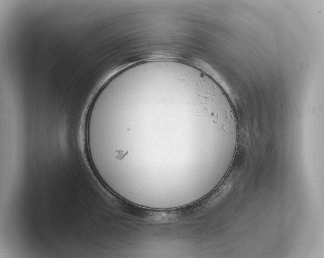 X0000101391195200807211007