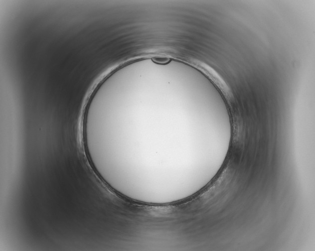 X0000101391196200807211007