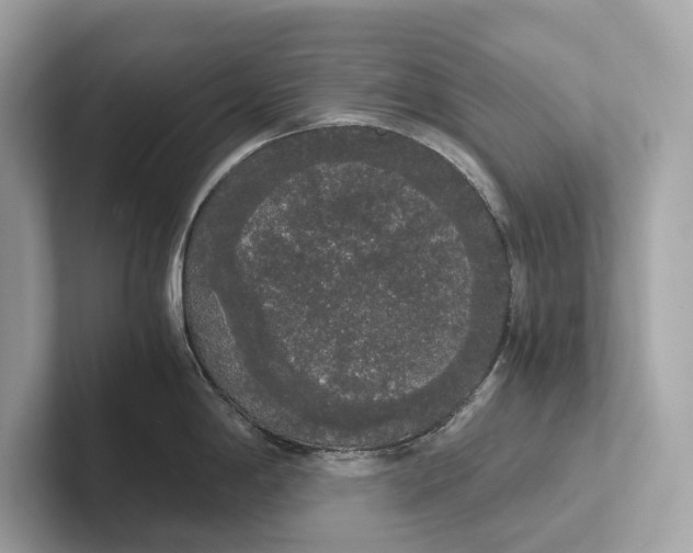 X0000101391198200807211007