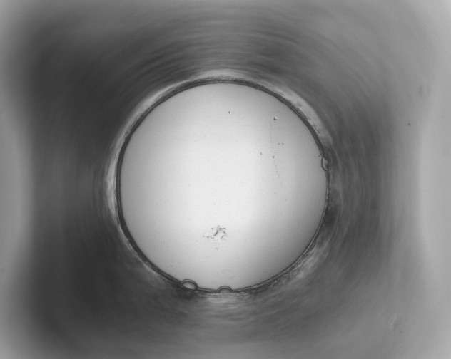 X0000101391199200807211007