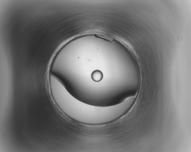 X0000101391200200807211007