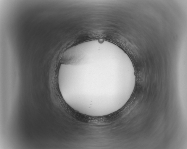 X0000101391201200807211006