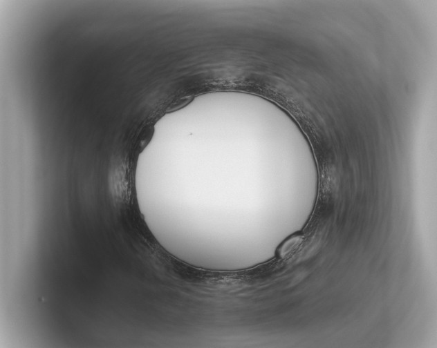 X0000101391202200807211006