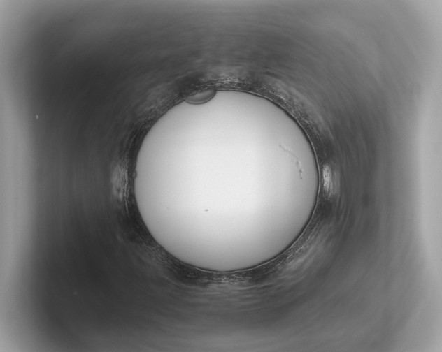 X0000101391203200807211006