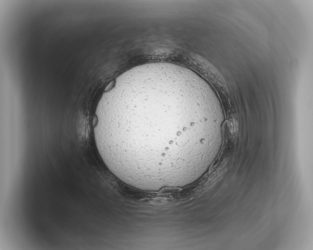 X0000101391204200807211006