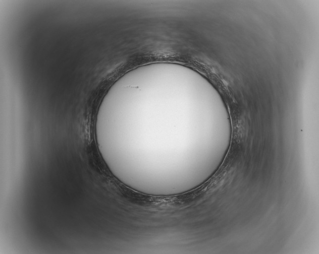 X0000101391205200807211006