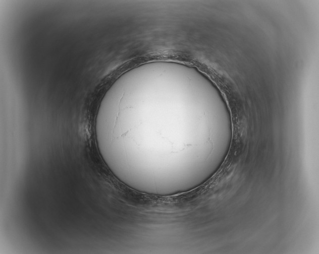 X0000101391206200807211006