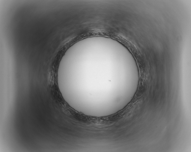 X0000101391207200807211006