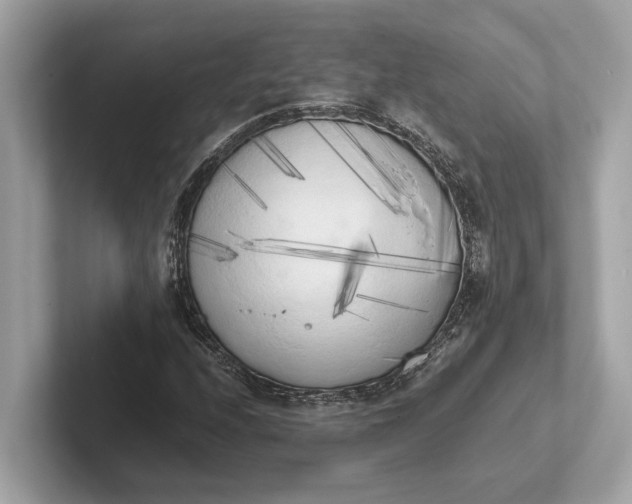 X0000101391208200807211006