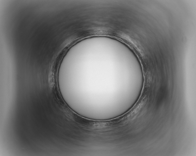 X0000101391211200807211006