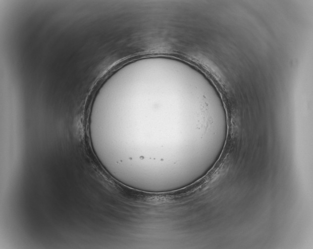 X0000101391212200807211006