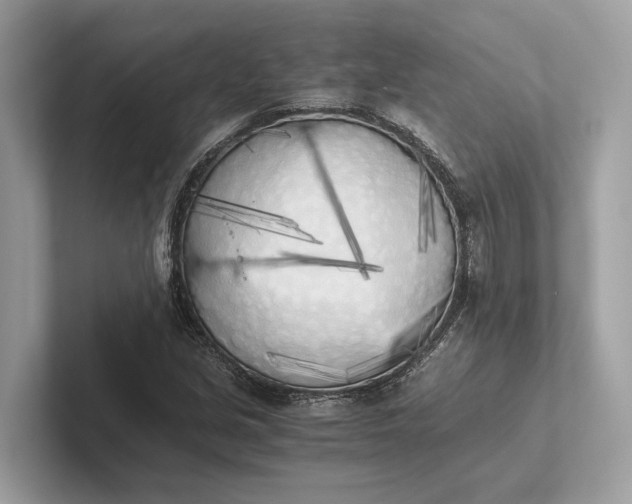 X0000101391213200807211006