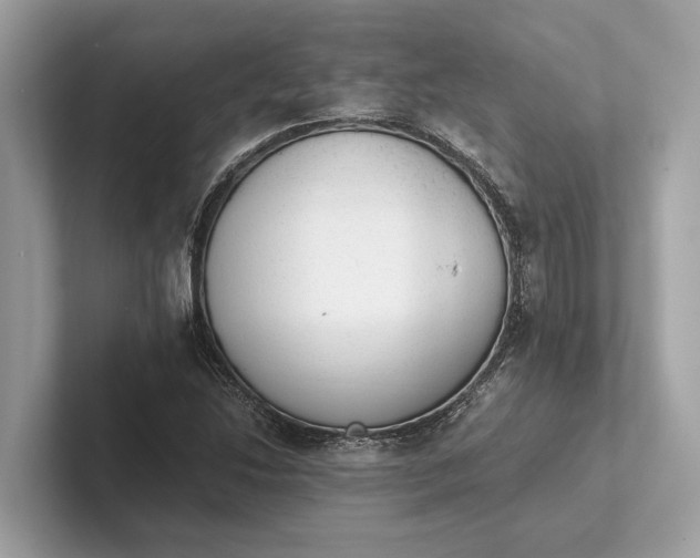 X0000101391214200807211006