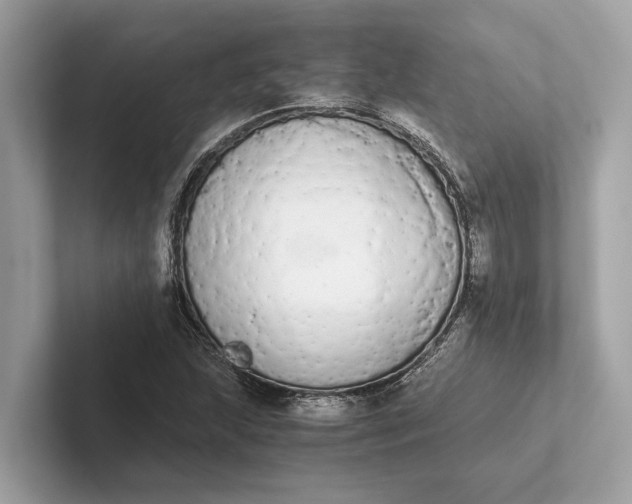 X0000101391215200807211006