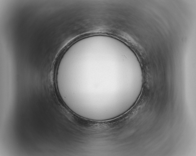 X0000101391216200807211006