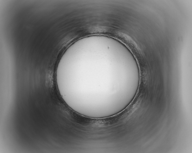 X0000101391217200807211006