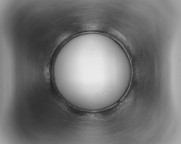 X0000101391218200807211006