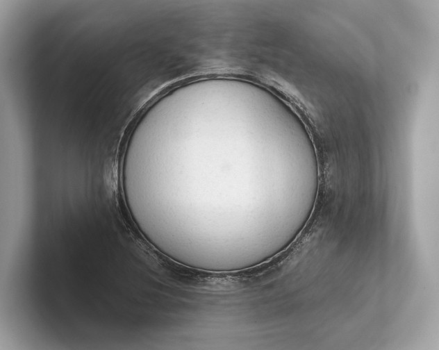 X0000101391220200807211006