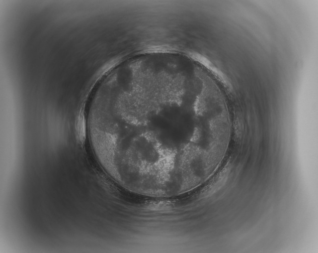 X0000101391221200807211006