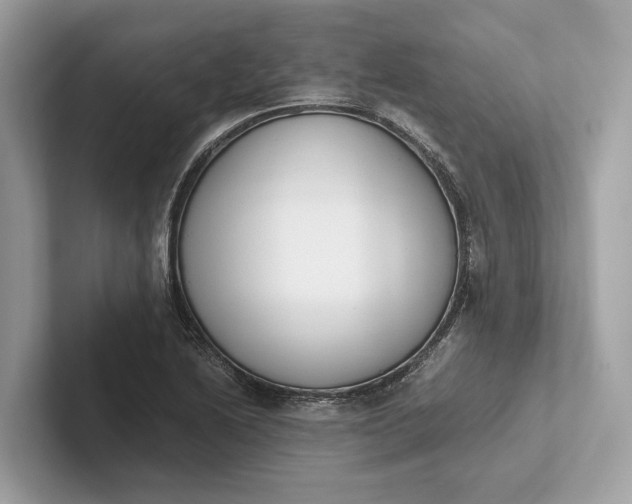 X0000101391222200807211006