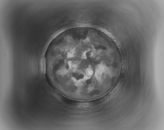 X0000101391223200807211006