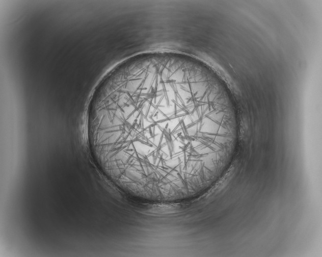 X0000101391224200807211006