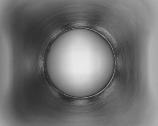 X0000101391225200807211006