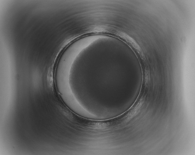 X0000101391226200807211006