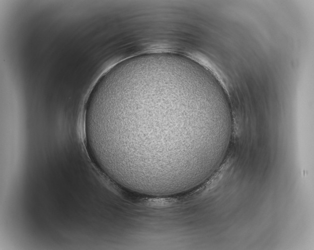 X0000101391227200807211006