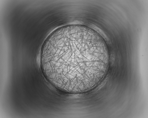 X0000101391228200807211006