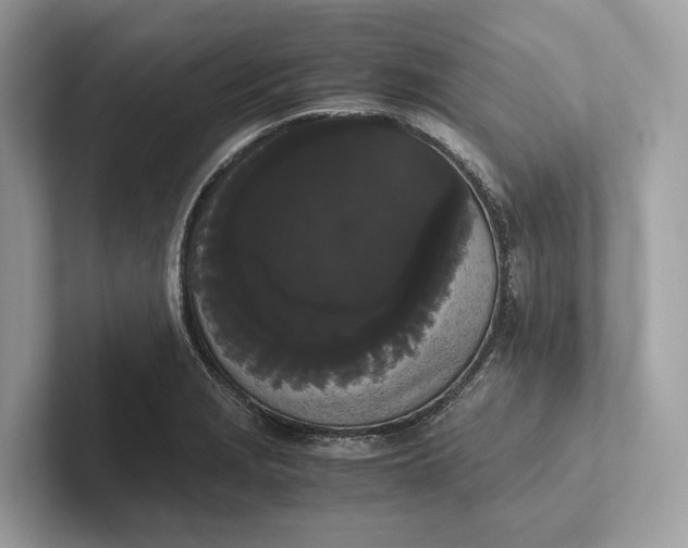 X0000101391229200807211006