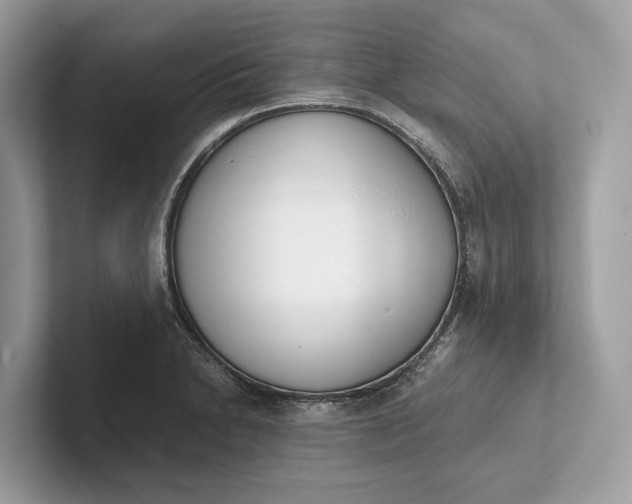 X0000101391230200807211006