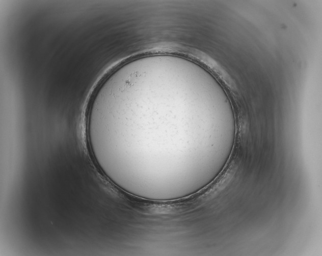 X0000101391232200807211006