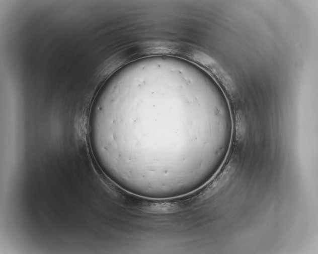 X0000101391233200807211006