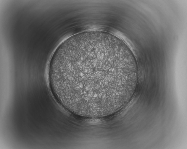 X0000101391235200807211006