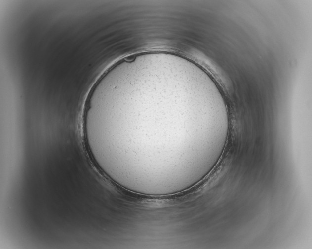 X0000101391236200807211006