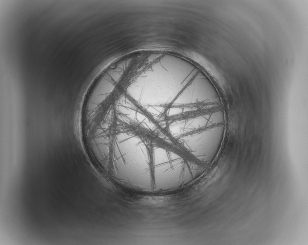 X0000101391237200807211006