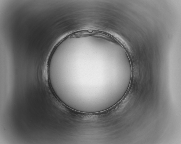 X0000101391238200807211006