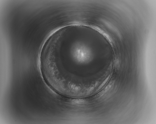 X0000101391239200807211006