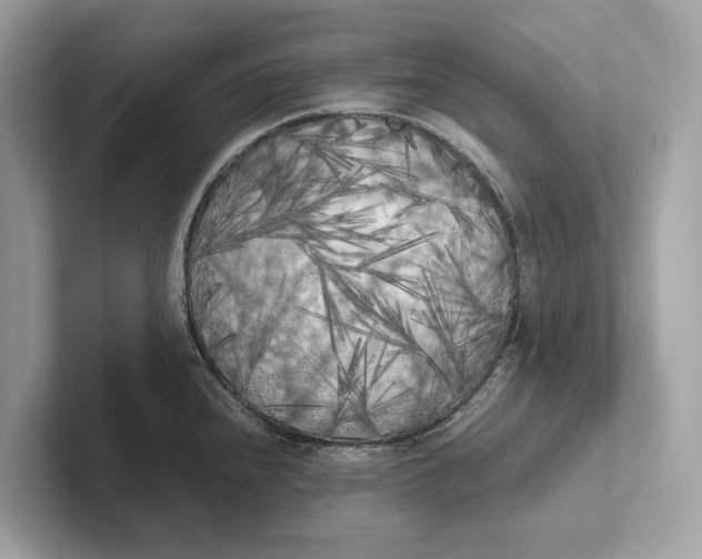 X0000101391240200807211006