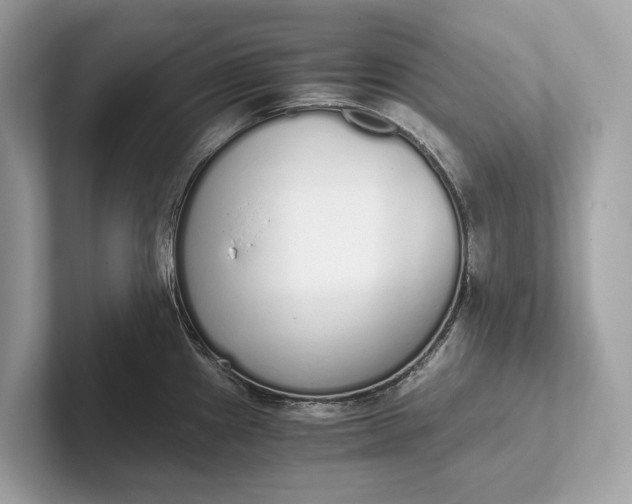 X0000101391241200807211006