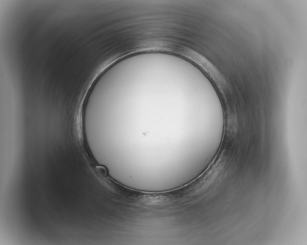 X0000101391242200807211006