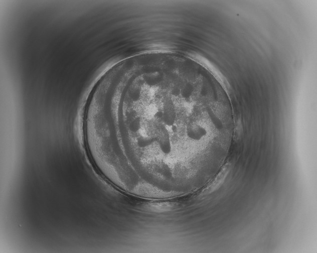 X0000101391243200807211006