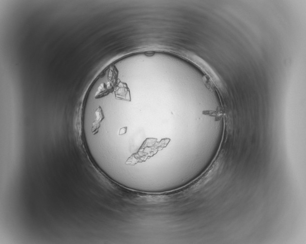 X0000101391244200807211006